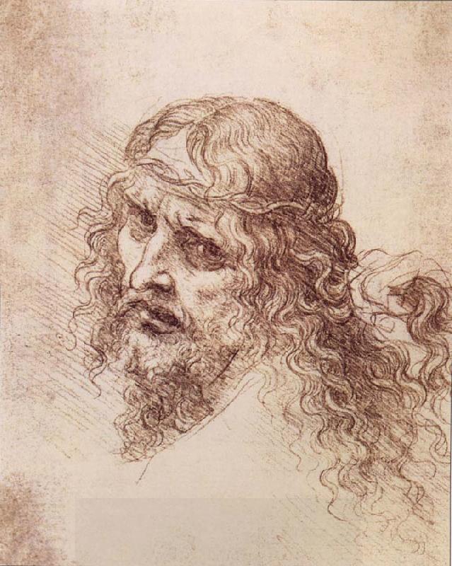 LEONARDO da Vinci Head and shoulders Christs